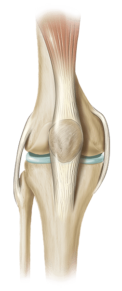 Partial Knee Replacement - Cornerstone Orthopedic Institute